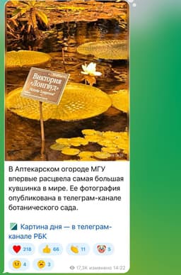 К концу недели  хочется читать только такие новости 💛 image preview