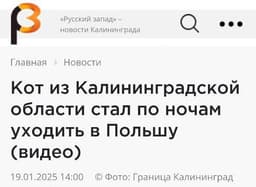 Даже кот путешествует больше меня. Я решила,... image preview