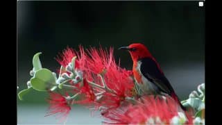 Фотография поста