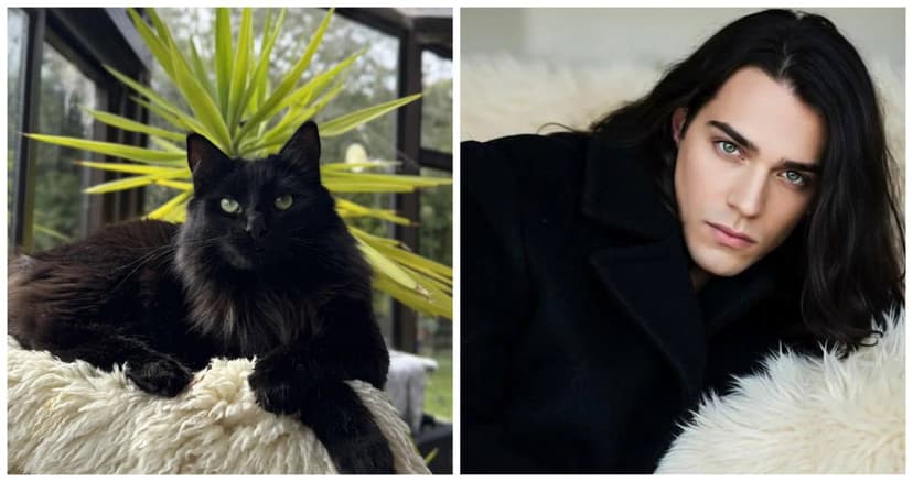 Фотография поста