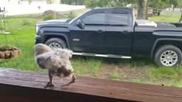 Доброе утро! Всех с понедельником! Последняя... image preview