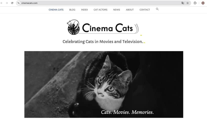 Фотография поста