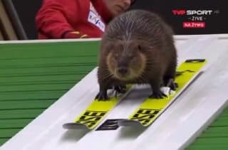 Фотография поста