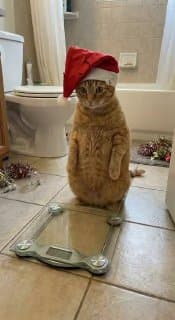 Фотография поста