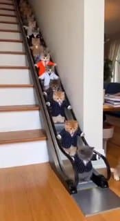 Фотография поста