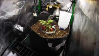 Фотография поста