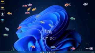 Фотография поста