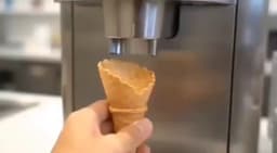 Котики. Ничего более милого мы сегодня можем и не увидеть. image preview