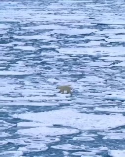 Фотография поста