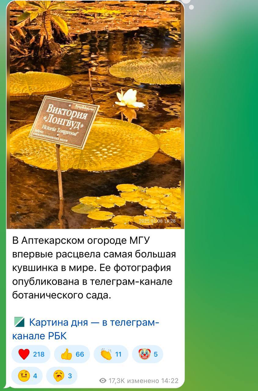 К концу недели хочется читать только новости image preview