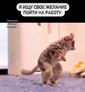 как найти силы после отпуска в понедельник image preview