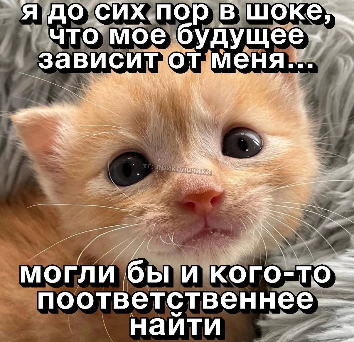 Ну что, и март подходит к концу. image preview