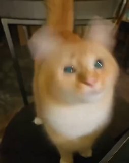 А вы как думаете? image preview