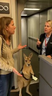 Фотография поста