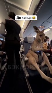 Срочные новости! image preview