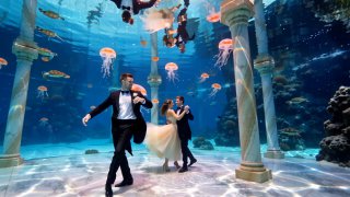 Китайцы выпустили крутой видеогенератор: Wan 2.2 image preview