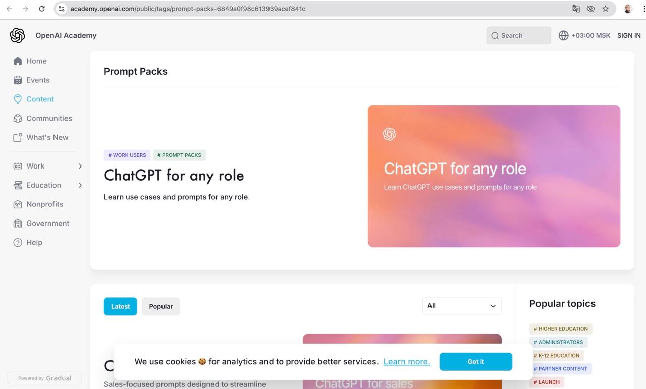 Ловим новый подгон от OpenAI! image preview