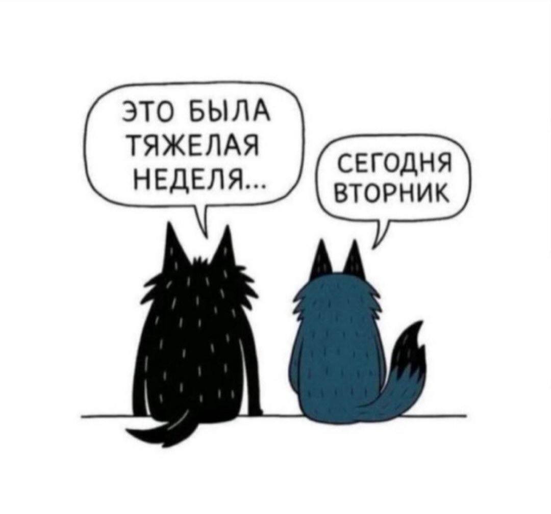 Вот как-то так себя ощущаю. Крепимся. Работаем. image preview