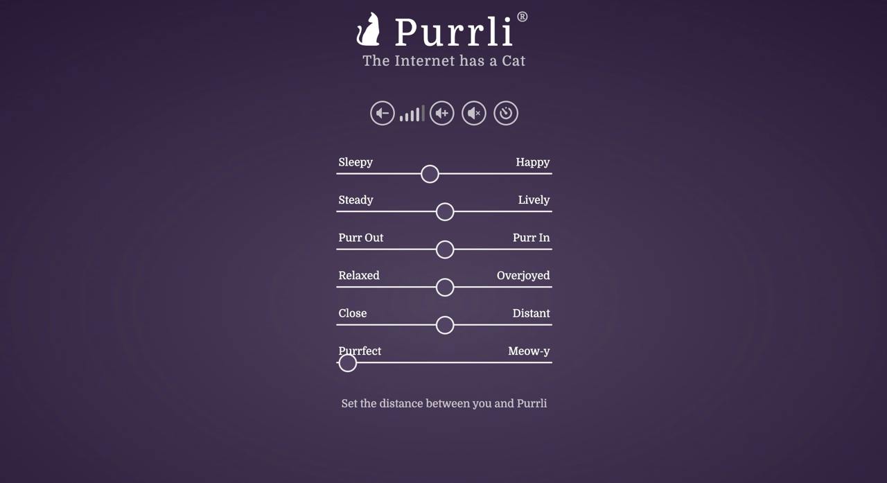 Сервис генерации кошачьего мурчания image preview