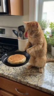 Фотография поста