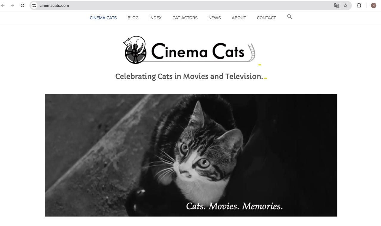 Фотография поста