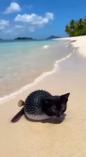 Многие из нас после новогодних праздников image preview