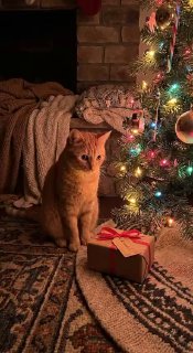 Примерно так приходится подарки выбирать. image preview