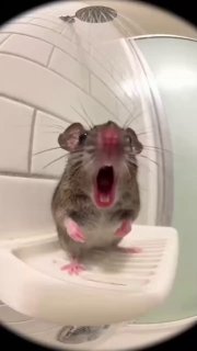 Фотография поста