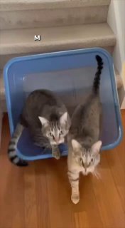 Фотография поста